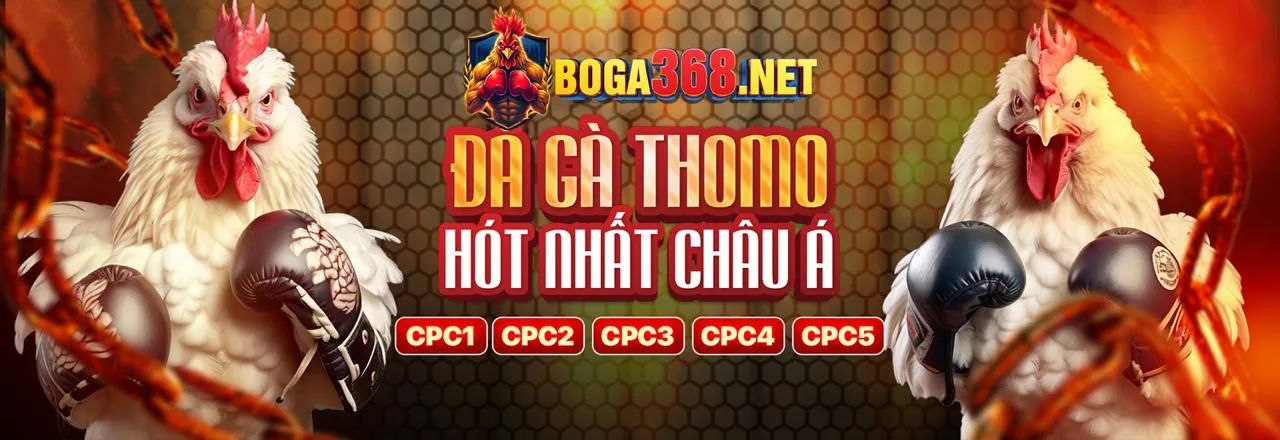 Hình ảnh nền tảng cá cược thể thao trực tuyến 99ok nổ hũ