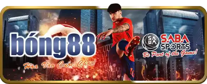 Nghiên cứu kỹ lưỡng trước khi đặt cược